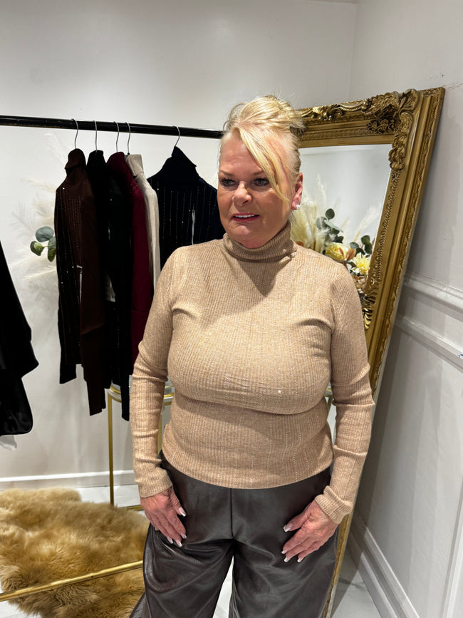 Diamanté ROLL NECK